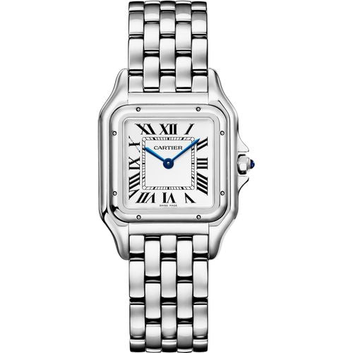 CT Panth Medium Silver Watch - 29mm