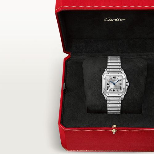 CT Santos Silver - 36mm