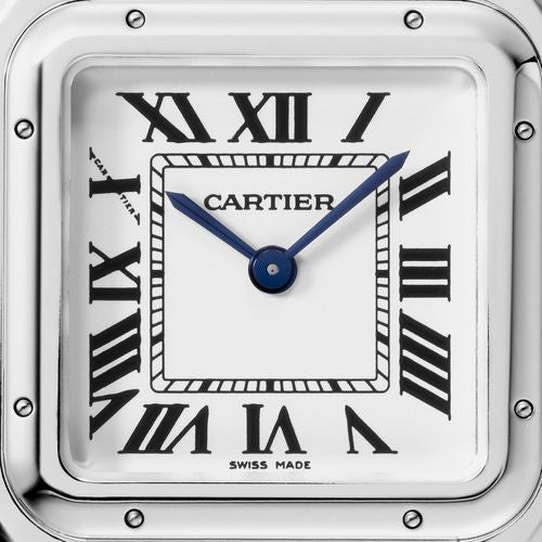CT Panth Medium Silver Watch - 29mm