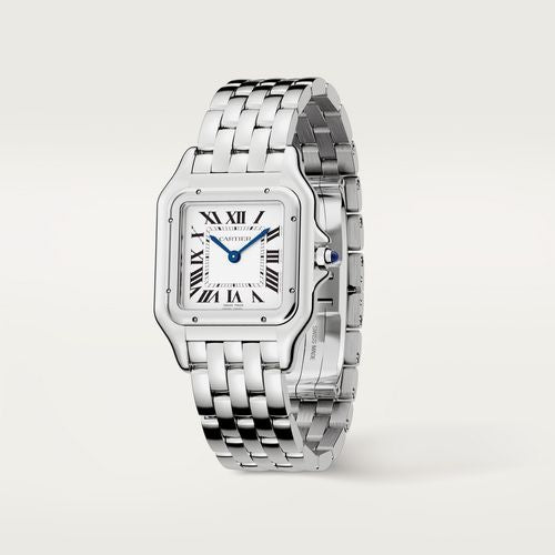 CT Panth Medium Silver Watch - 29mm