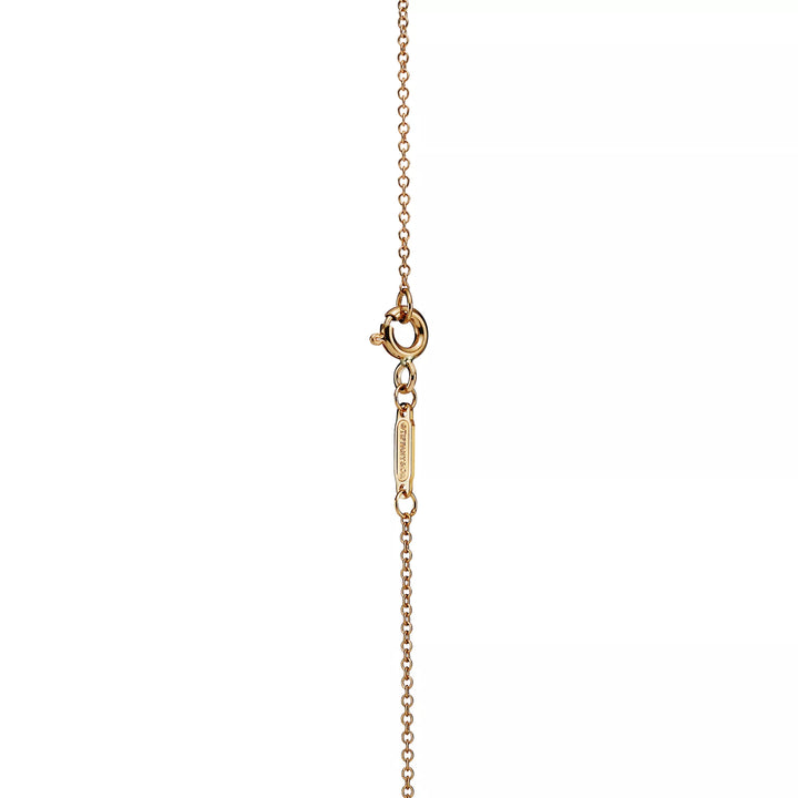 TF Gold Necklace With Two Heart Pendants