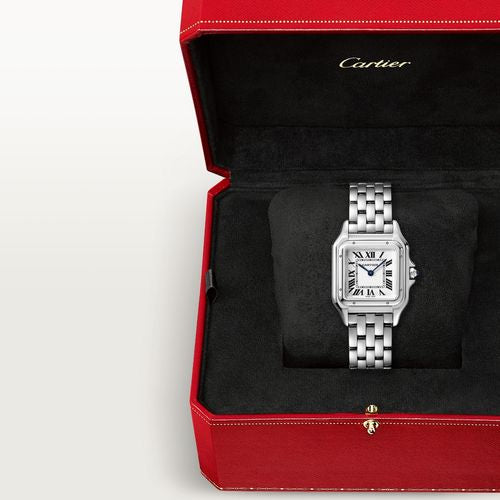 CT Panth Medium Silver Watch - 29mm