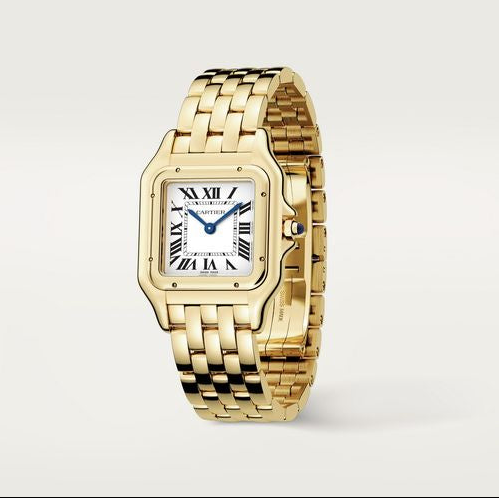 Panth Medium Golden Watch - 29mm