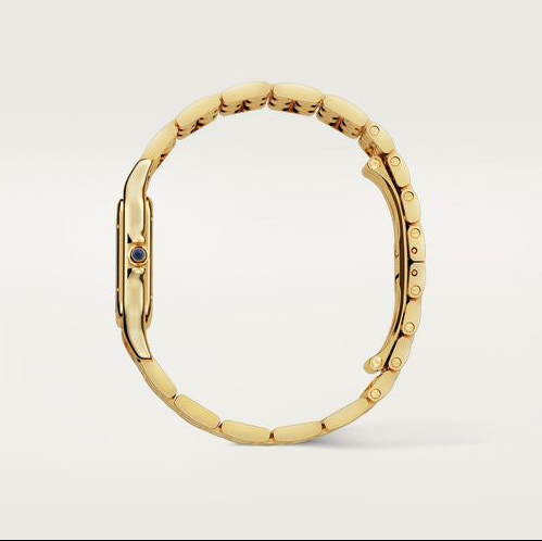 Panth Medium Golden Watch - 29mm
