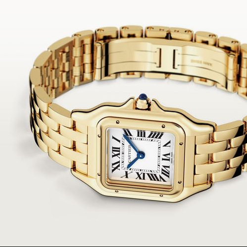 Panth Medium Golden Watch - 29mm