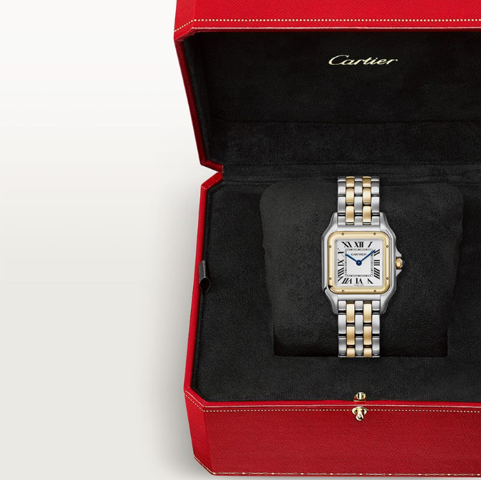 Panth Medium Classic Watch 29mm