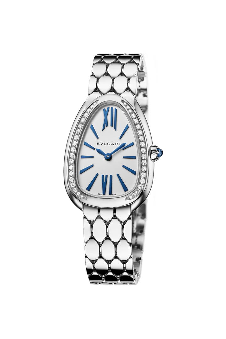BV Blue Watch